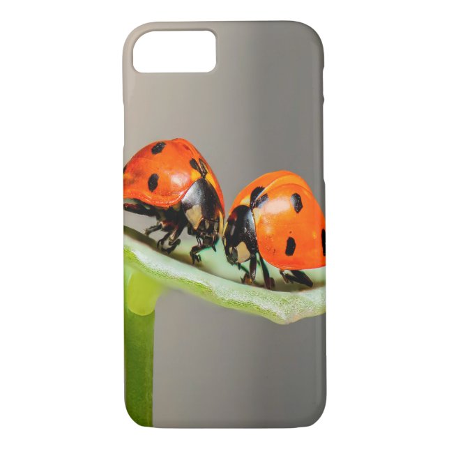 Funda De Case-Mate Para iPhone Kissing Ladybugs (Reverso)