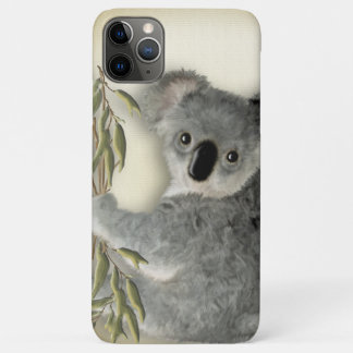 title_seo2 Koala linda