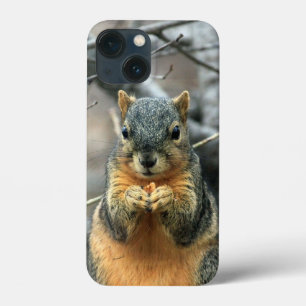 Funda Para iPhone 13 Mini La ardilla come una nuez