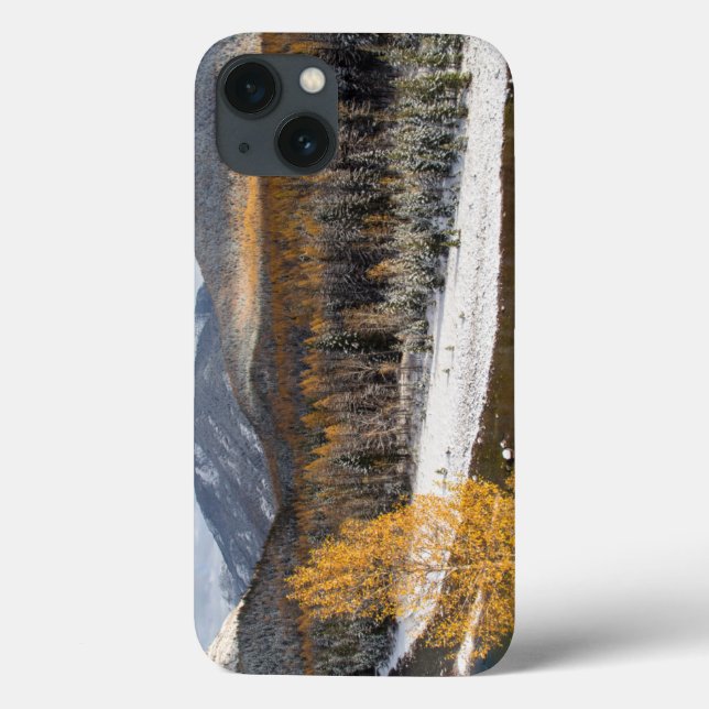 Funda De Case-Mate Para iPhone La bifurcación media del río Flathead (Reverso)
