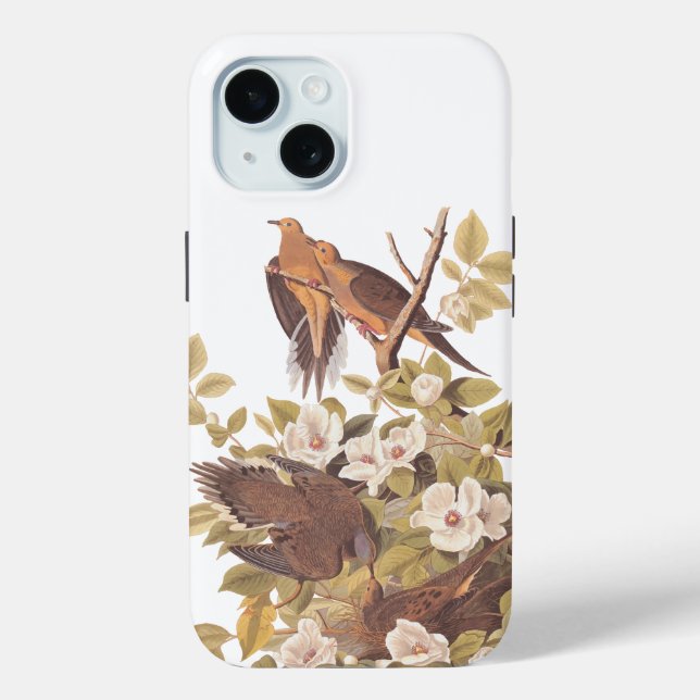 Funda De Case-Mate Para iPhone La estufa de tortuga de Audubon (Reverso )