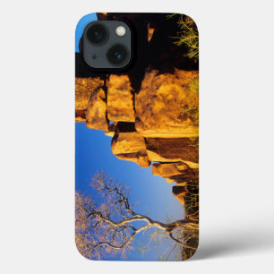 Funda Para iPhone 13 La formación del rock y el árbol, el parque infa