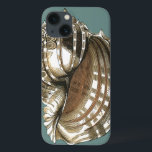 title_seo2 La joya del océano<br><div class="desc">Una de las joyas más finas del océano está en esta imagen. Esta gran concha de concha se encuentra en una obra de arte moderno enmarcada. Una gran imagen de concha con un fondo verde azulado y una concha sepia y blanca. Relájese con esta gran obra de arte natural.</div>