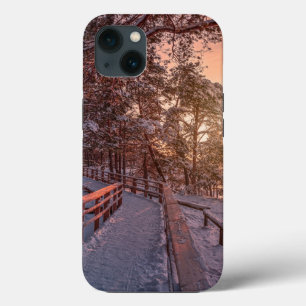 Funda Para iPhone 13 La puesta de sol del invierno en un bosque de pino