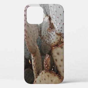 FUNDA PARA iPhone 12 LA VISTA DE CIERRE DE CACTUS