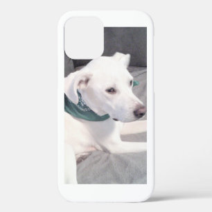 Funda Para iPhone 12 Labrador blanco lindo Perro con bufanda verde