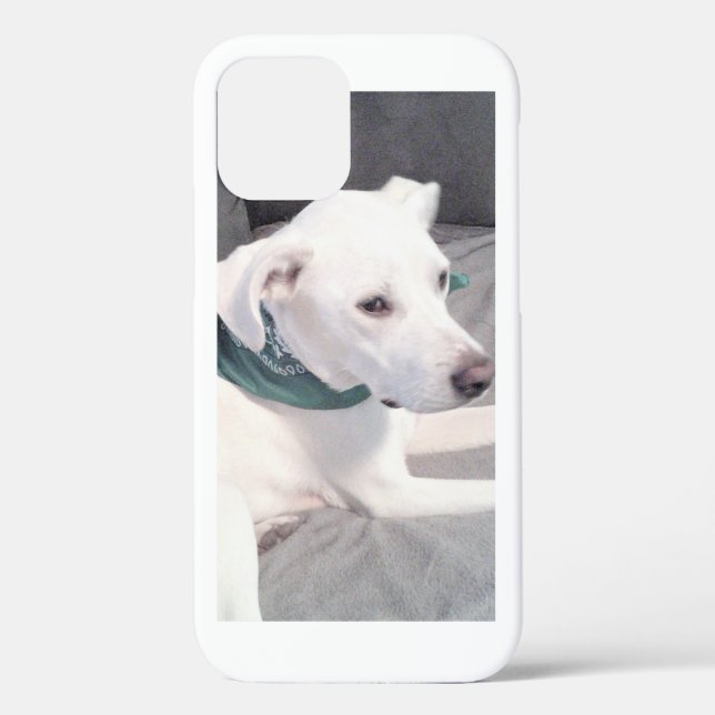 Funda De Case-Mate Para iPhone Labrador blanco lindo Perro con bufanda verde (Reverso )