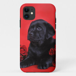 title_seo2 Labrador cachorro y rosas