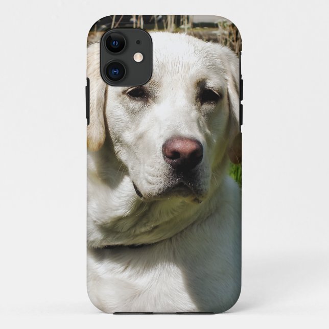 FUNDA DE Case-Mate PARA iPhone LABRADOR DOG (Reverso)
