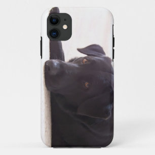 Funda Para iPhone 11 labrador retriever