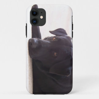 Funda Para iPhone 11 labrador retriever