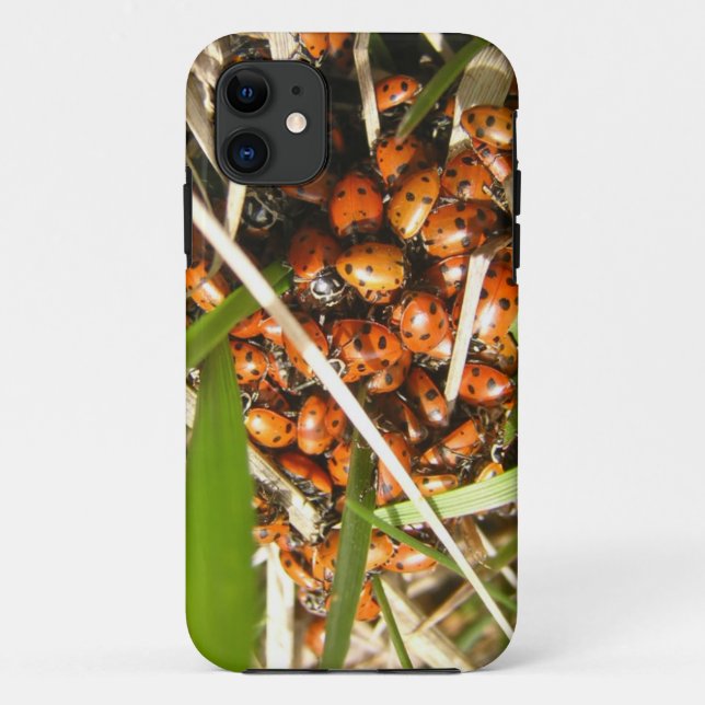 Funda De Case-Mate Para iPhone Ladybugs (Coccinellidae) (Reverso)