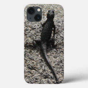 title_seo2 Lagarto Negro