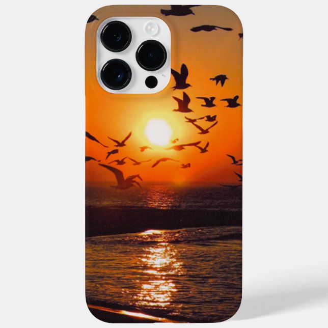 Funda De Case-Mate Para iPhone Lago Erie Sunset (Reverso)