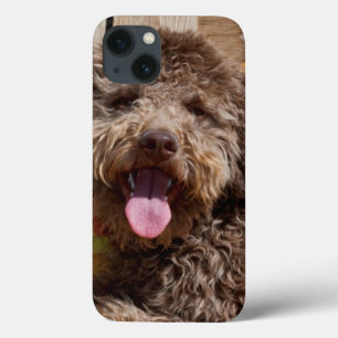 Funda Para iPhone 13 Lagotto Romagnolo acostado en un banco de madera