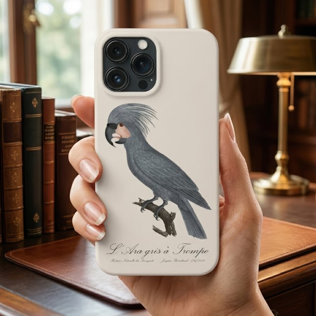 Funda De Case-Mate Para iPhone L'Ara gris à Trompe / Cockatoo de palma gris (Great Black Palm Cockatoo, Probosciger aterrimus. iPhone Case)
