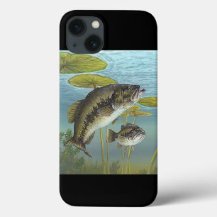 title_seo2 Largemouth Bass