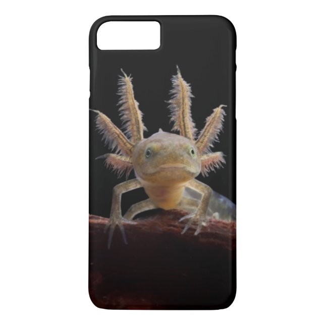 Funda De Case-Mate Para iPhone Larve con cresta del newt (Reverso)