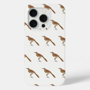 Funda Para iPhone 15 Pro Las Aves de Nueva York, las Arañas Marrones o Marr