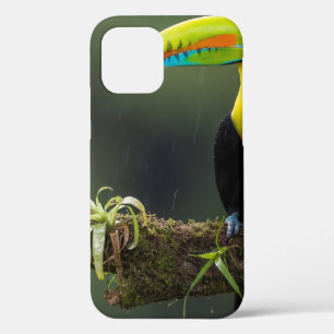Funda Para iPhone 12 las aves son los únicos animales con plumas 2