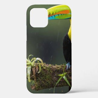 Funda Para iPhone 12 las aves son los únicos animales con plumas 2