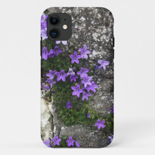 Funda Para iPhone 11 Las flores de Campanula crecen en una pared