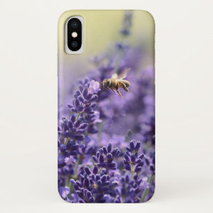 title_seo2 Lavender y Honey Bee