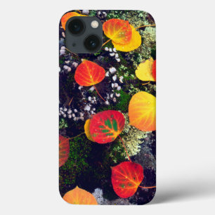 Funda Para iPhone 13 Leaves on a lichen covered rock, Rocky Mountains
