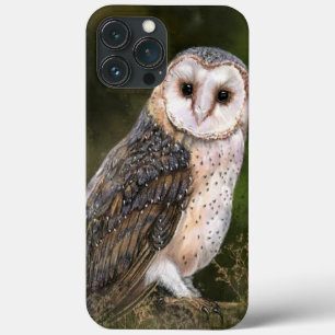 Funda Para iPhone 13 Pro Max Lechuza Barn Occidental - Pintura