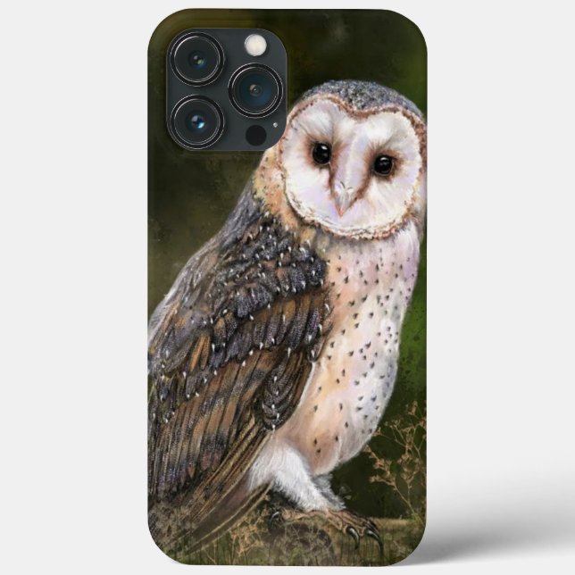 Funda De Case-Mate Para iPhone Lechuza Barn Occidental - Pintura  (Reverso )