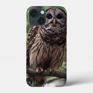 Funda Para iPhone 13 Mini Lechuza Barred