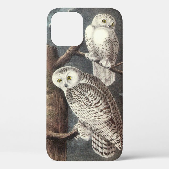 Funda De Case-Mate Para iPhone Lechuza de nieve por Audubon (Reverso )