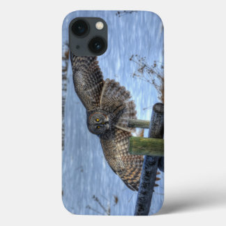 Funda Para iPhone 13 Lechuza gris y valla. Foto II