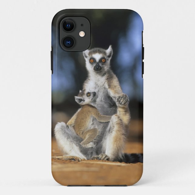 Funda De Case-Mate Para iPhone Lemur, (Lemur catta), madre y (Reverso)