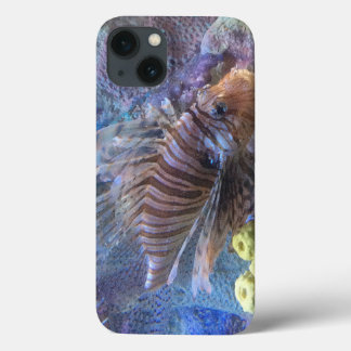 Funda Para iPhone 13 León