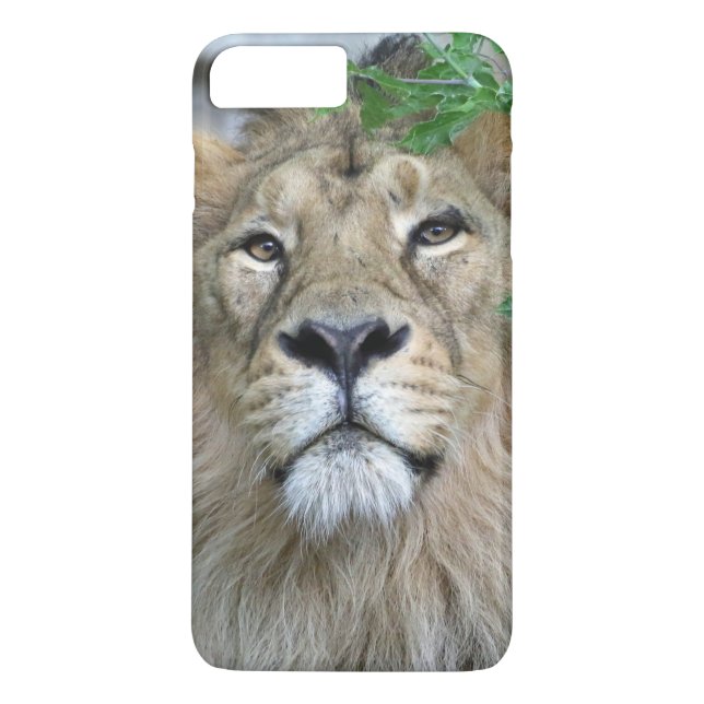 Funda De Case-Mate Para iPhone León20150605 (Reverso)