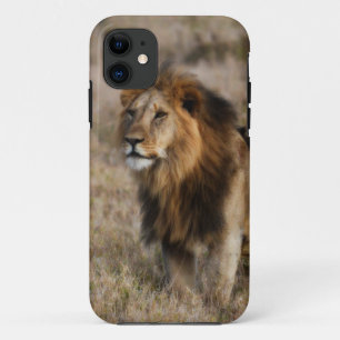 Funda Para iPhone 11 León africano en hierba