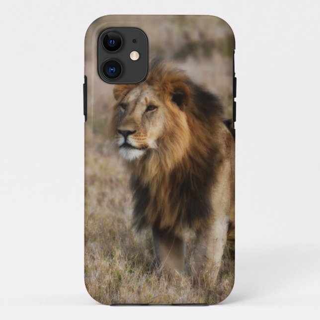 Funda De Case-Mate Para iPhone León africano en hierba (Reverso)