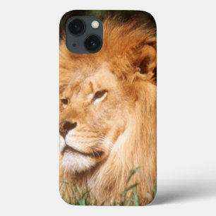 Funda Para iPhone 13 León del varón adulto
