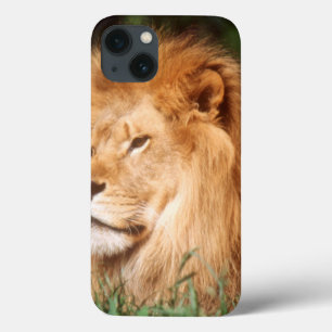 Funda Para iPhone 13 León del varón adulto