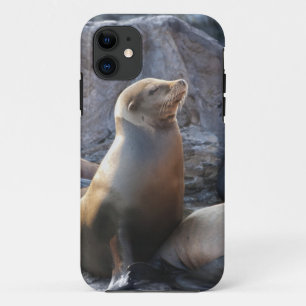 Funda Para iPhone 11 León Marino