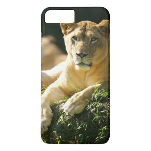 Funda Para iPhone 8 Plus/7 Plus Leones