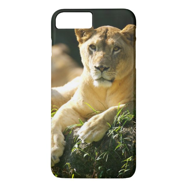 Funda De Case-Mate Para iPhone Leones (Reverso)