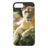 Leones
