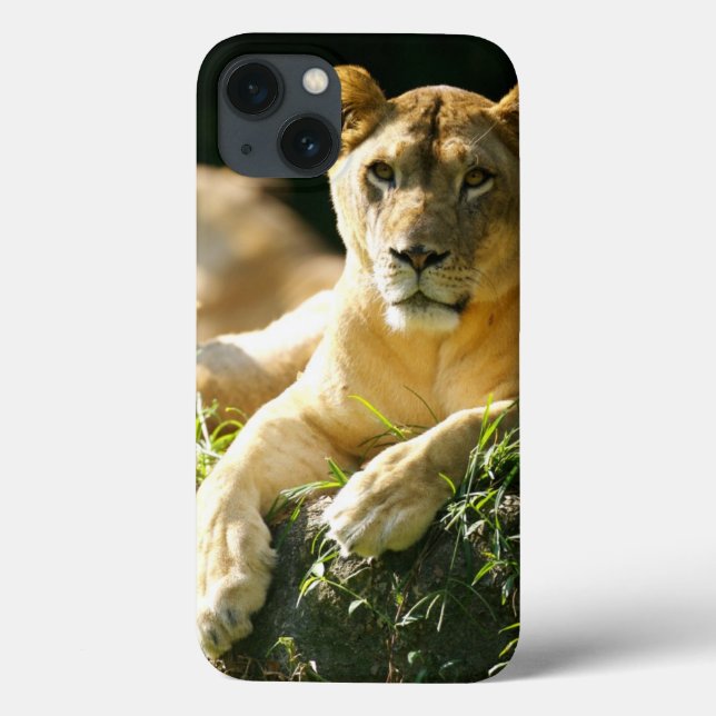 Funda De Case-Mate Para iPhone Leones (Reverso)