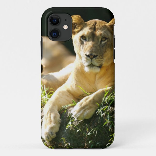 Funda De Case-Mate Para iPhone Leones (Reverso)