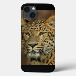 title_seo2 Leopard Lovers Art