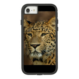 title_seo2 Leopard Lovers Art