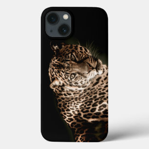 title_seo2 Leopard Starring