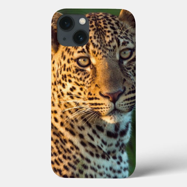 Funda De Case-Mate Para iPhone Leopardo Masculino (Panthera Pardus) Cubo de creci (Reverso)
